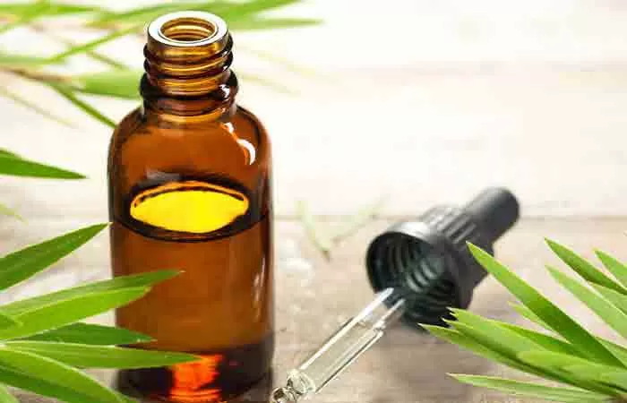 روغن درخت چای برای لکه‌های جوش