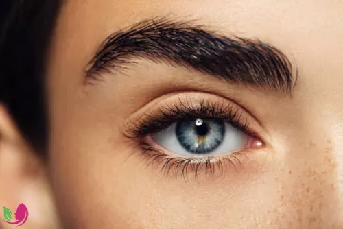 چطور ابروی پهن و پرپشت داشته باشیم؟