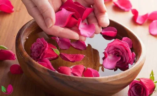 9 خواص گلاب برای انواع پوست‌ + روش استفاده