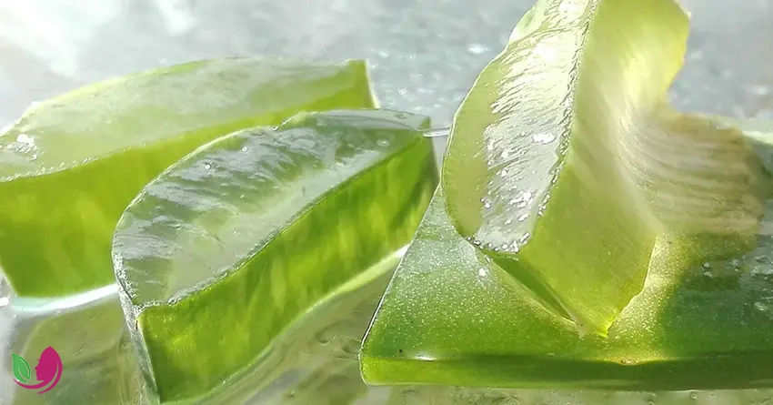 ماسک موی آلوئهورا و روغن آرگان