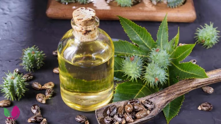 روغن کرچک باعث رشد مو می‌شود