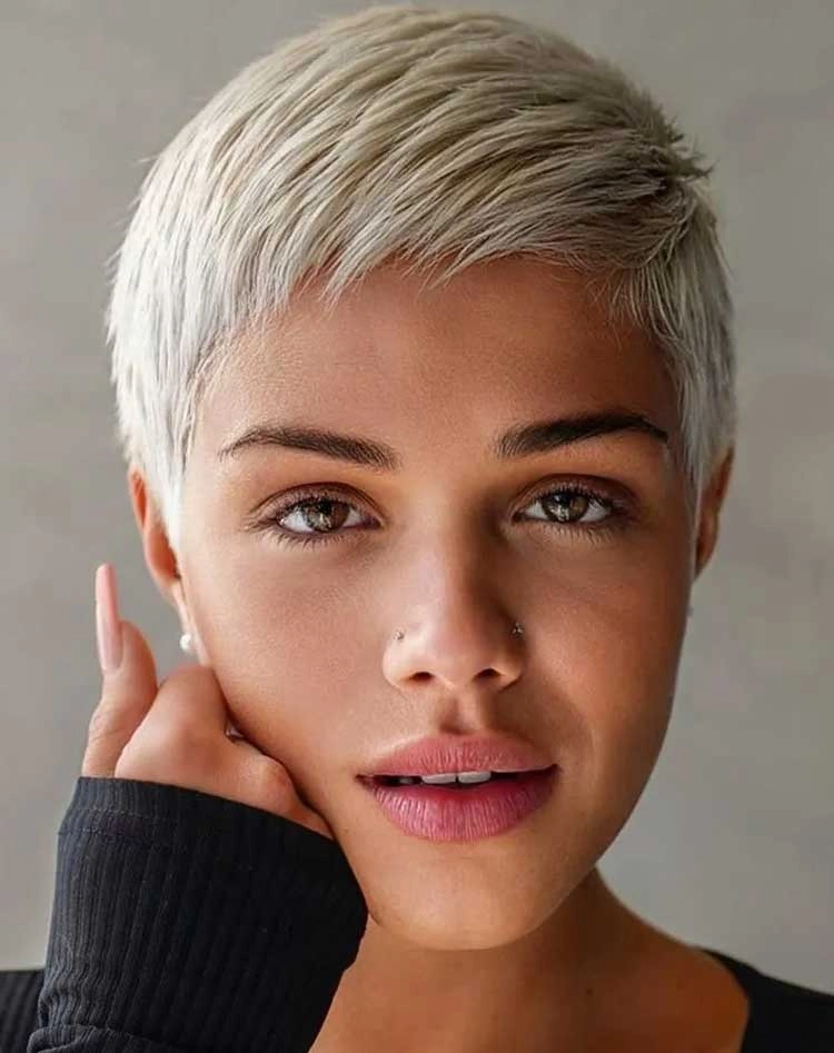 پیکسی کلاسیک (Classic Pixie)