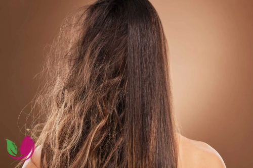جلوگیری از وز شدن مو با چند راهکار ساده و طبیعی